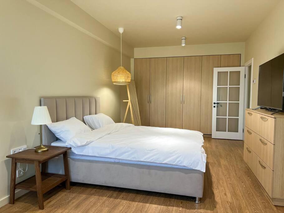 2 Bedroom On Ismail Corner Stefan Cel Mare, New Apartment, Chisinau Center! Dış mekan fotoğraf